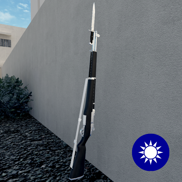 中華民國三軍儀隊M1禮賓槍 ROC M1 Drill Purpose Rifle