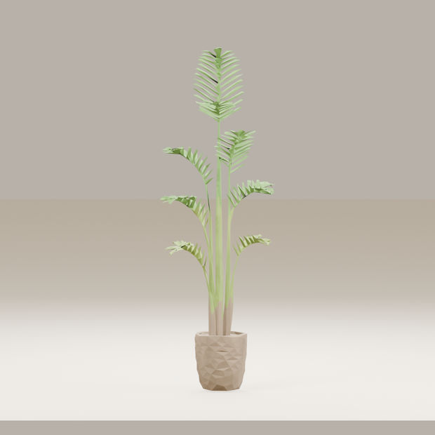 【3Dモデル】観葉植物 / areca palm アレカヤシ（OBJ・LWO）