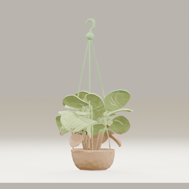 【3Dモデル】観葉植物 / カラテア・オルビフォリア | Calathea orbifolia （OBJ・LWO）