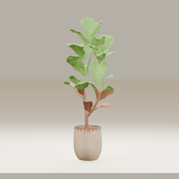 【3Dモデル】観葉植物 / fiddle leaf fig フィドルリーフ・フィグ（OBJ・LWO）