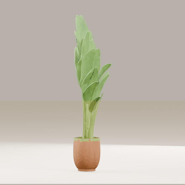 【3Dモデル】観葉植物 / strelitzia nicolai ストレリチア・ニコライ（OBJ・LWO）