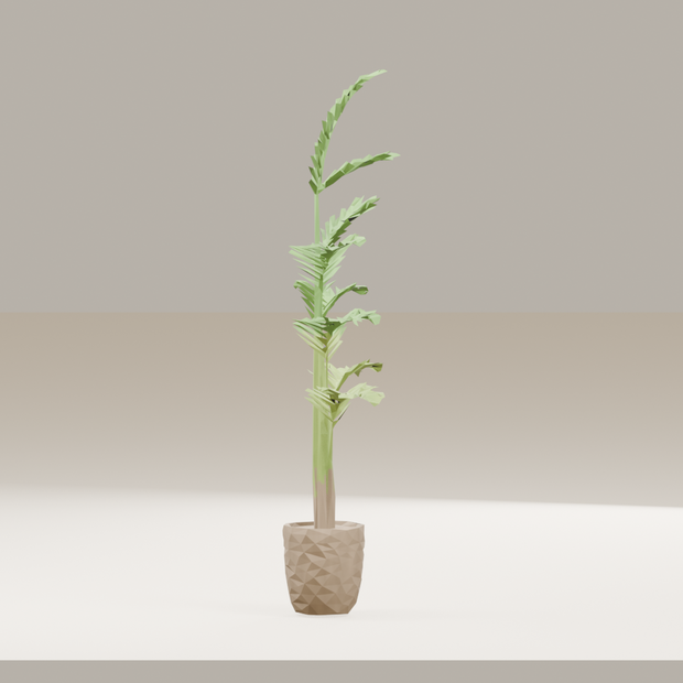 【3Dモデル】【詰合せ】観葉植物 / Houseplants 12種セット（OBJ・LWO）
