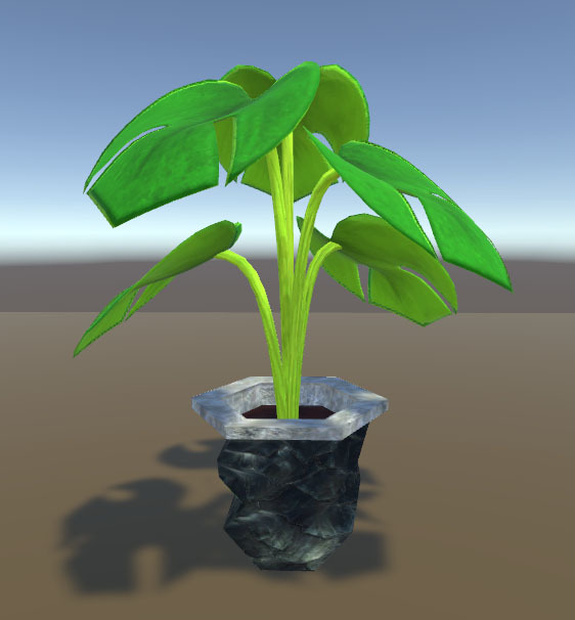 観葉植物(House Plants)