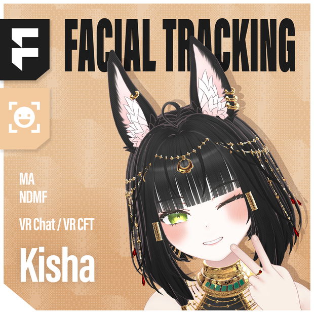 Kisha(キシャ)'s FacialTracking Setting
