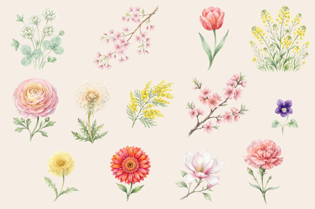 🌸 **水彩・春の花素材セット（背景透過PNG／13点）