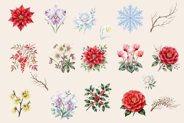 ❄️ 水彩・冬の花素材セット（背景透過PNG／18点）