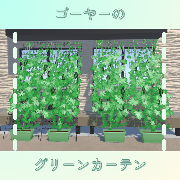 ゴーヤーのグリーンカーテン