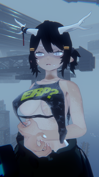 *YOLL* "ERP" shirt 