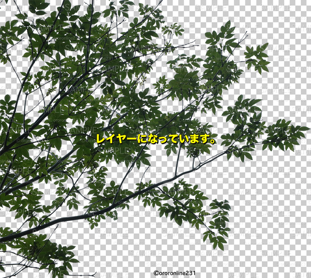 木の素材_No,07