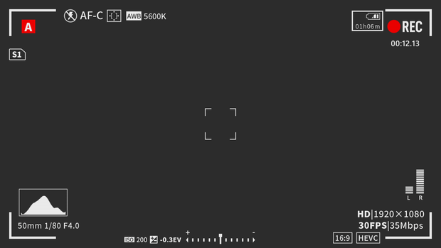 【透過素材】ビデオカメラ ●REC表示 AviUtl用おまけ付き