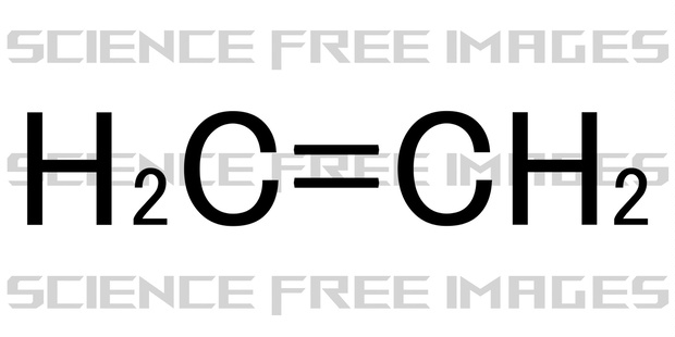 エチレン（エテン）（Ethylene (ethene)）C2H4