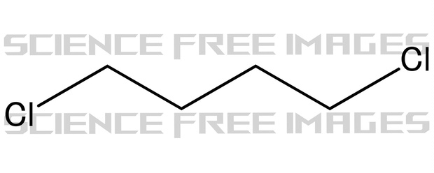 ジクロロブタン(Dichlorobutanes)1,4-ジクロロブタン(1,4-Dichlorobutane)　C4H8Cl2　Cl(CH₂)₄Cl