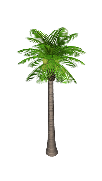 なんとアバター、ヤシの木。PalmTree