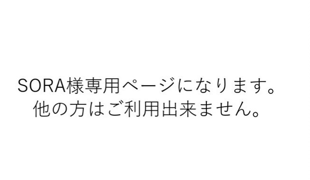 SORA様専用