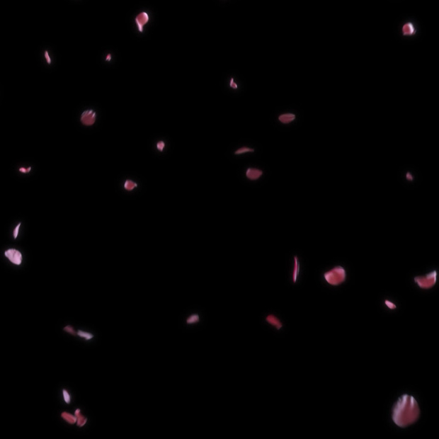 降り注ぐ薔薇の花びら_a