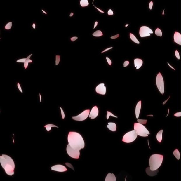 素材屋 蛇藤 無料映像素材 桜 桜吹雪 桜の花びらが降り注ぐ 大粒 素材屋 蛇藤 Sozaiya Jafuji Booth