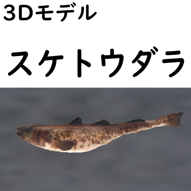 スケトウダラ【VRChat想定】