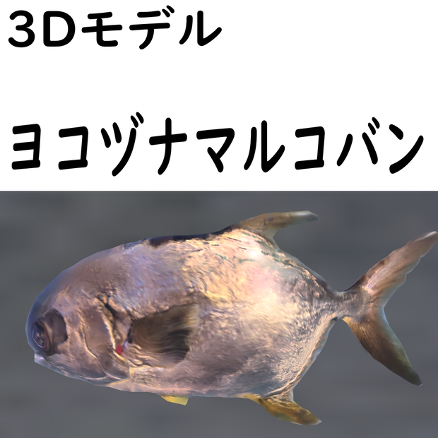 ヨコヅナマルコバン【VRChat想定】