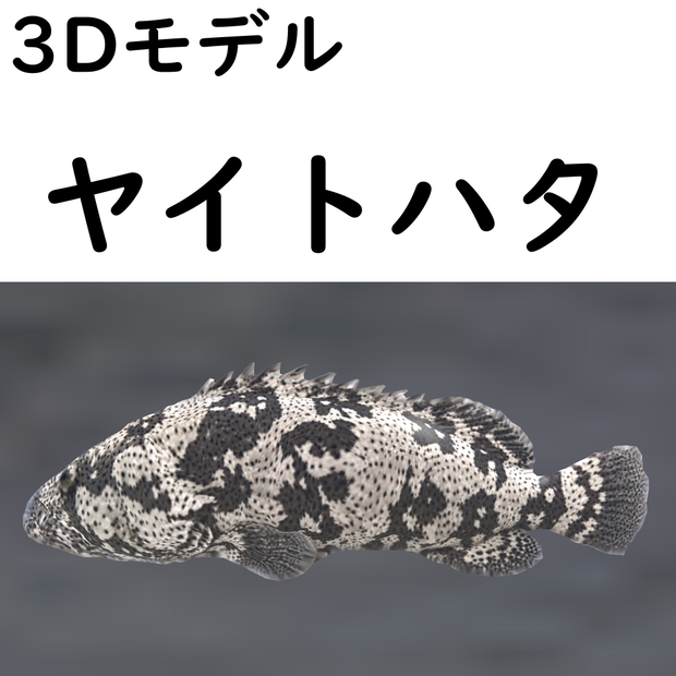 【48時間限定無料】ヤイトハタ【VRChat想定】