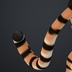 【トラ獣人ベースモデル】FBX + リグあり版｜VRChat・Vtuber対応 - shapeshiftstudio thumb 4