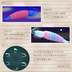えびFLY/VRC用オリジナル３Dモデル - もたる屋 thumb 3