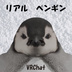 オリジナル3Dモデル：リアルペンギン penguin - archrob thumb 1