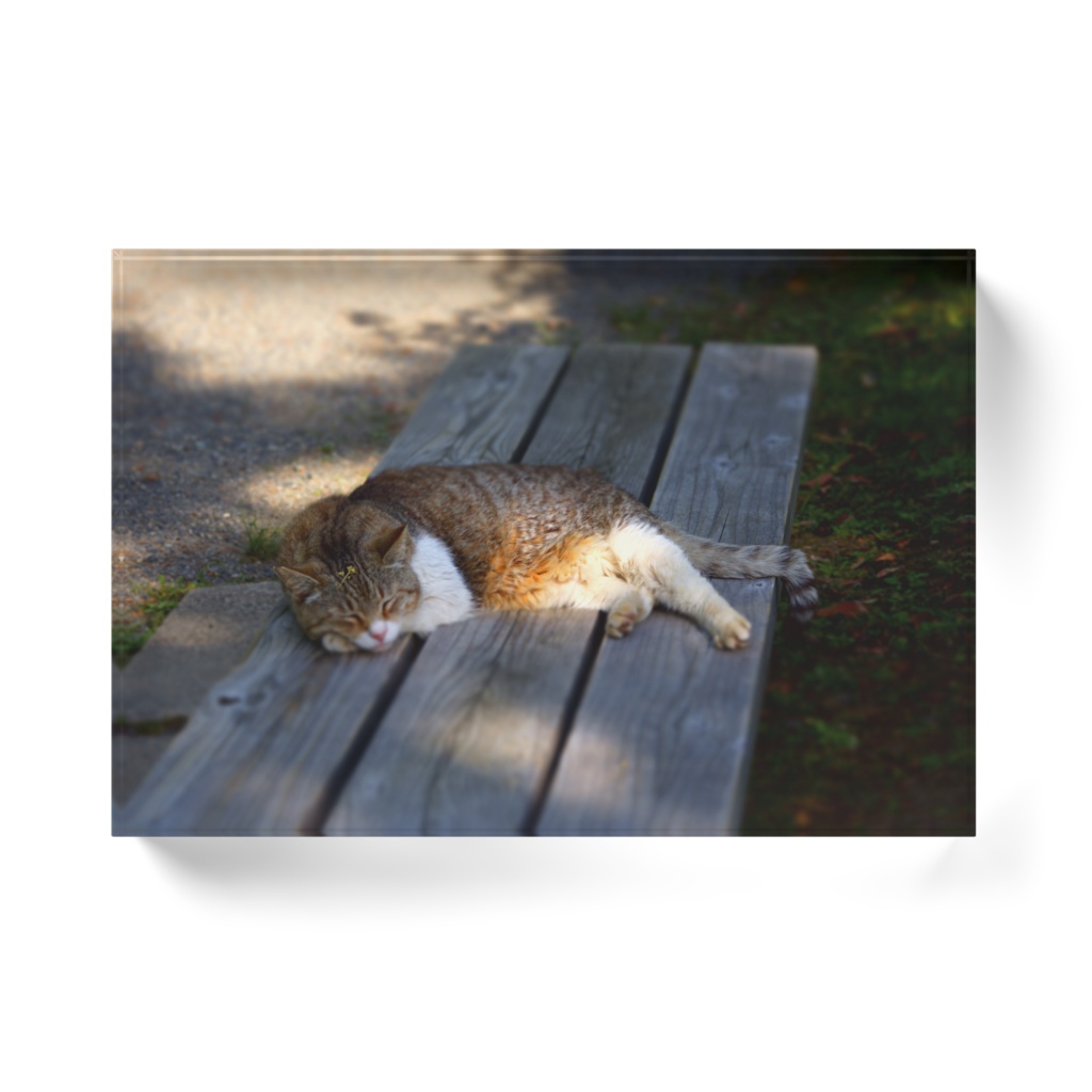 居眠りにゃんこ(全身)