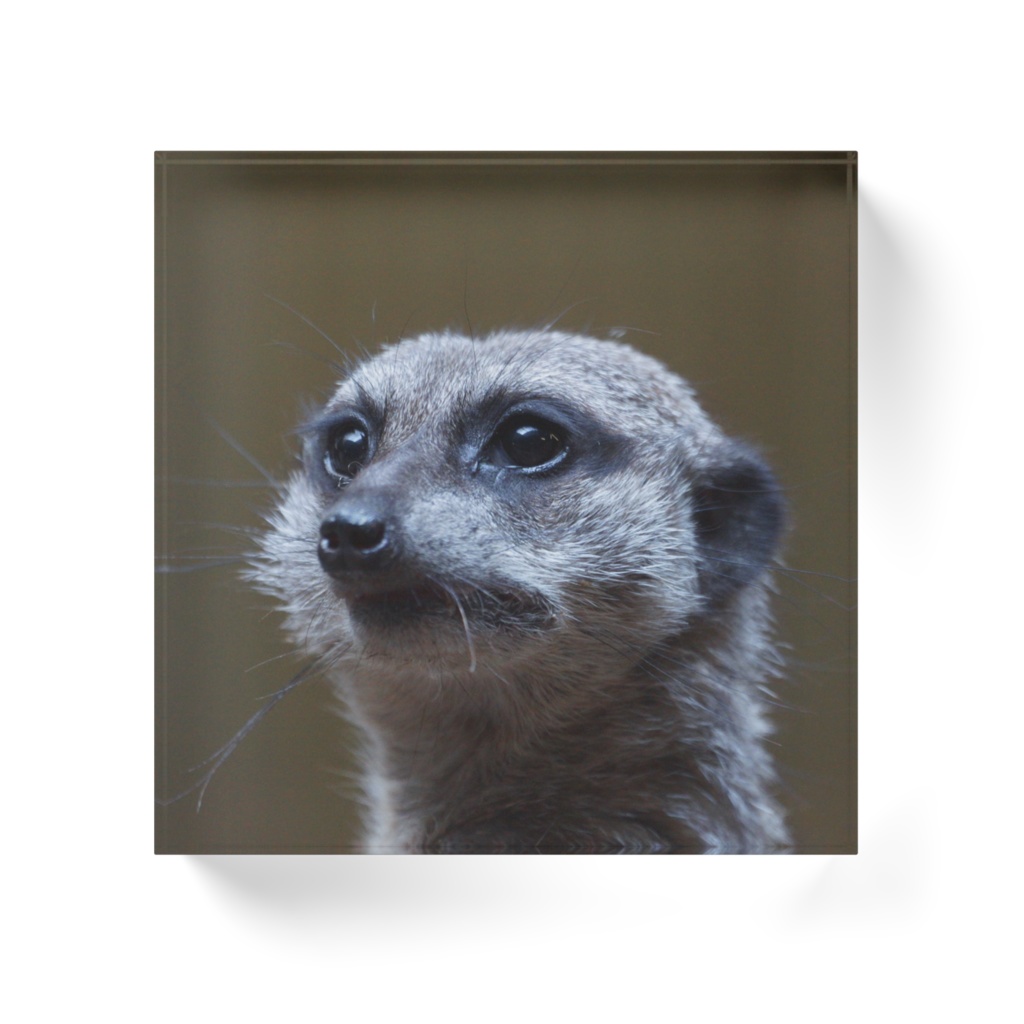 ミーアキャットさん