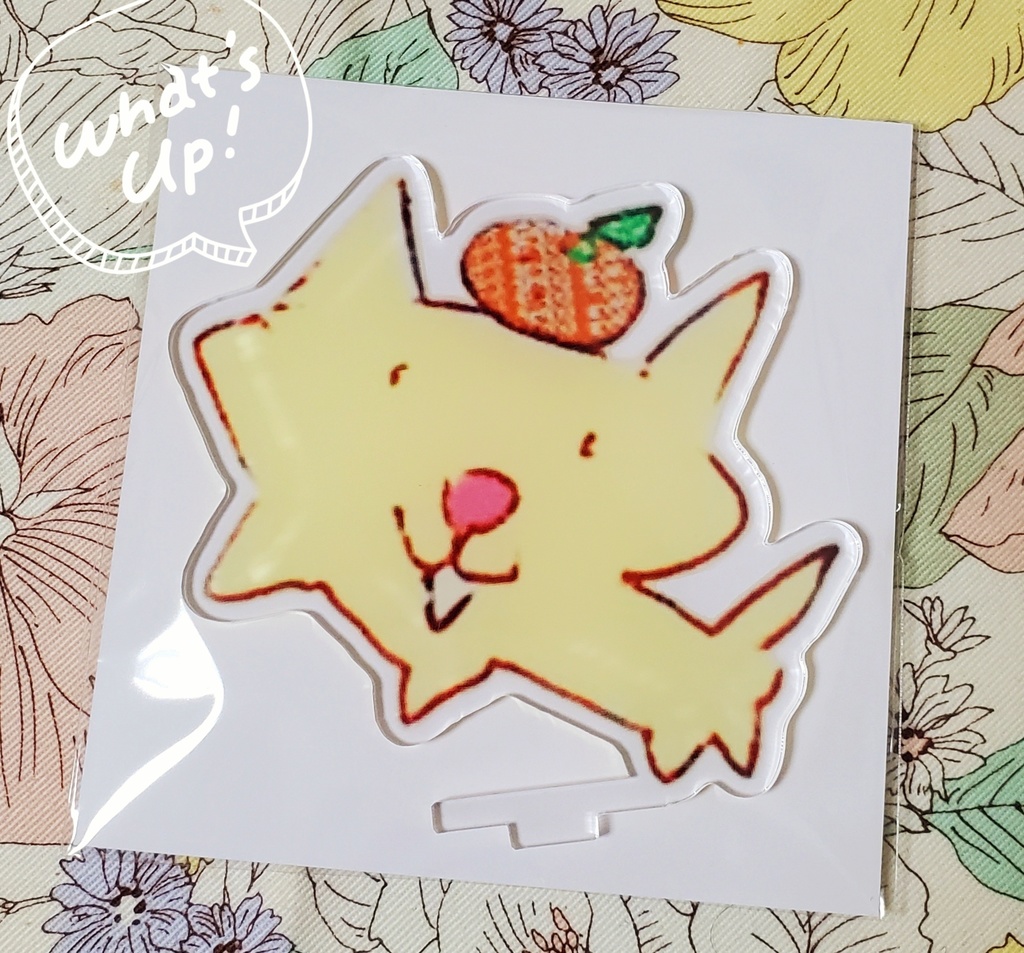 正月ネコアクスタ