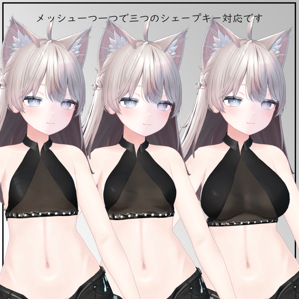 【しなの用】トップ『アウス』 - Top -Aus- - For Shinano