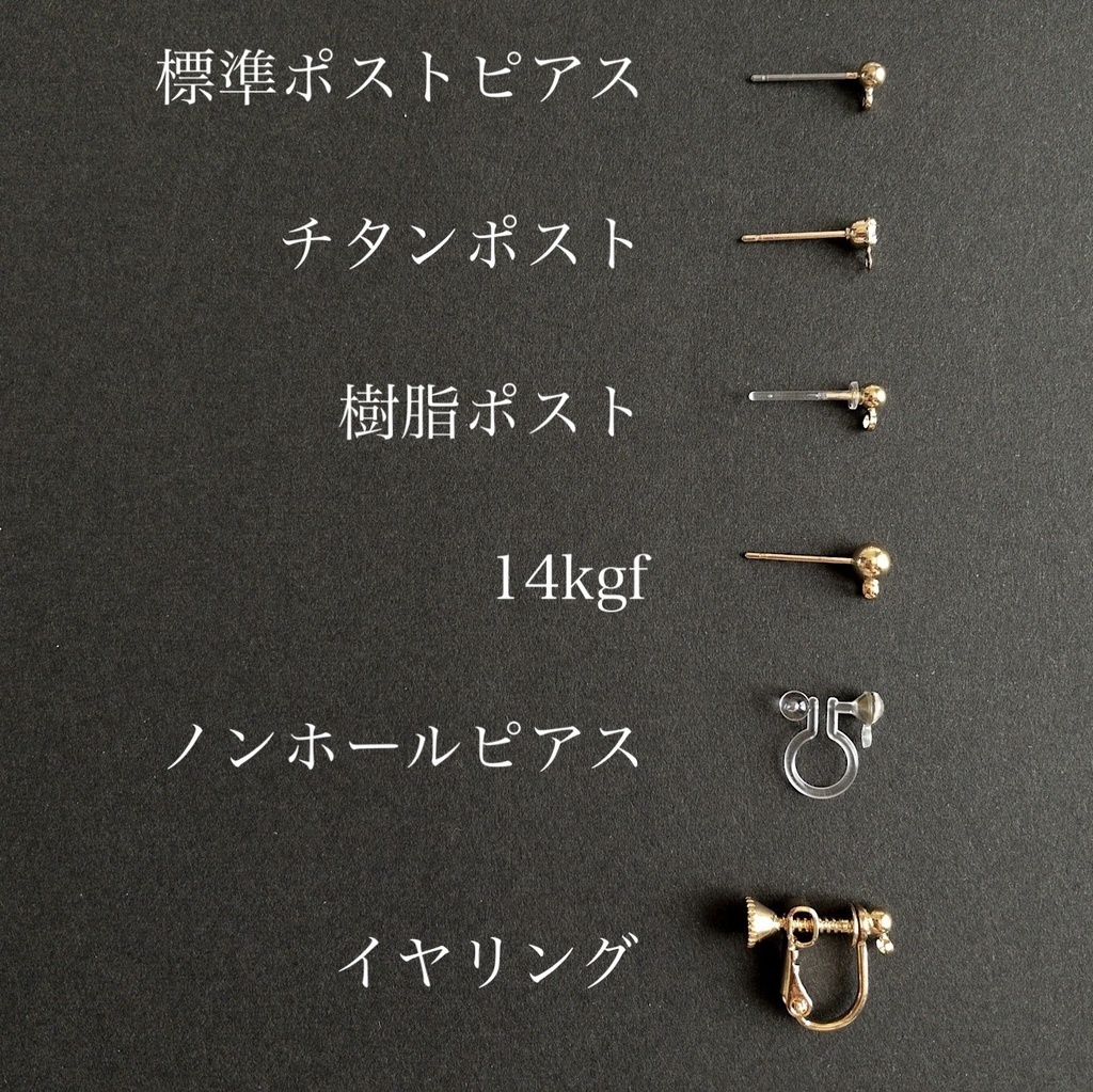 FGO ディルムッド・オディナ(セイバー) イメージピアス/イヤリング