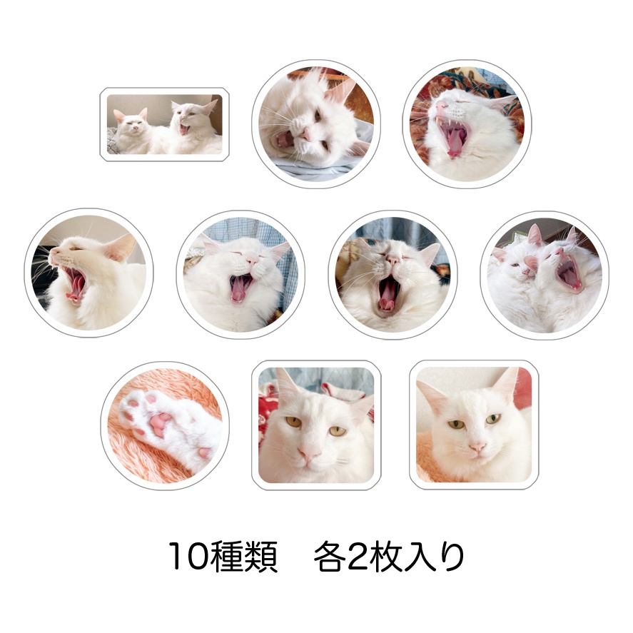 ねこのあくび+αフレークシール