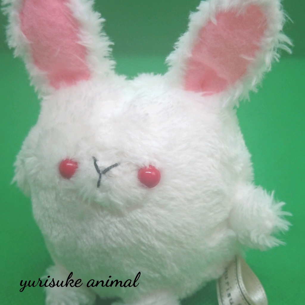 うさぎ【maru*animal】