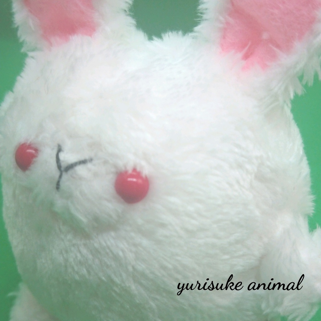 うさぎ【maru*animal】