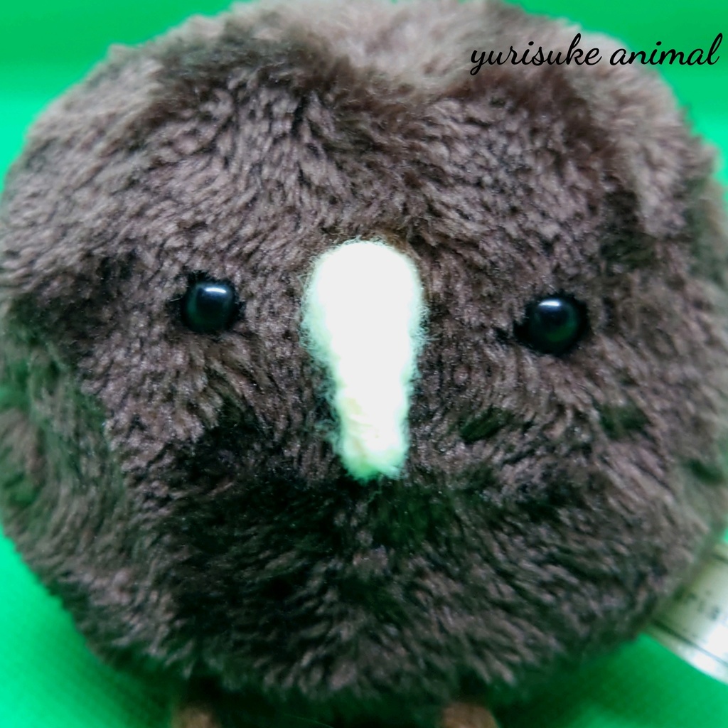 キーウィ【maru*animal】