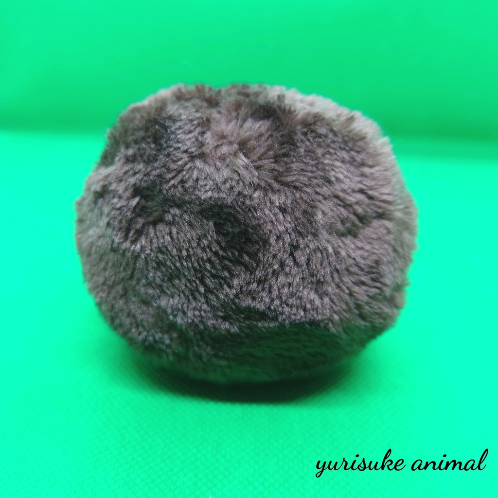 キーウィ【maru*animal】