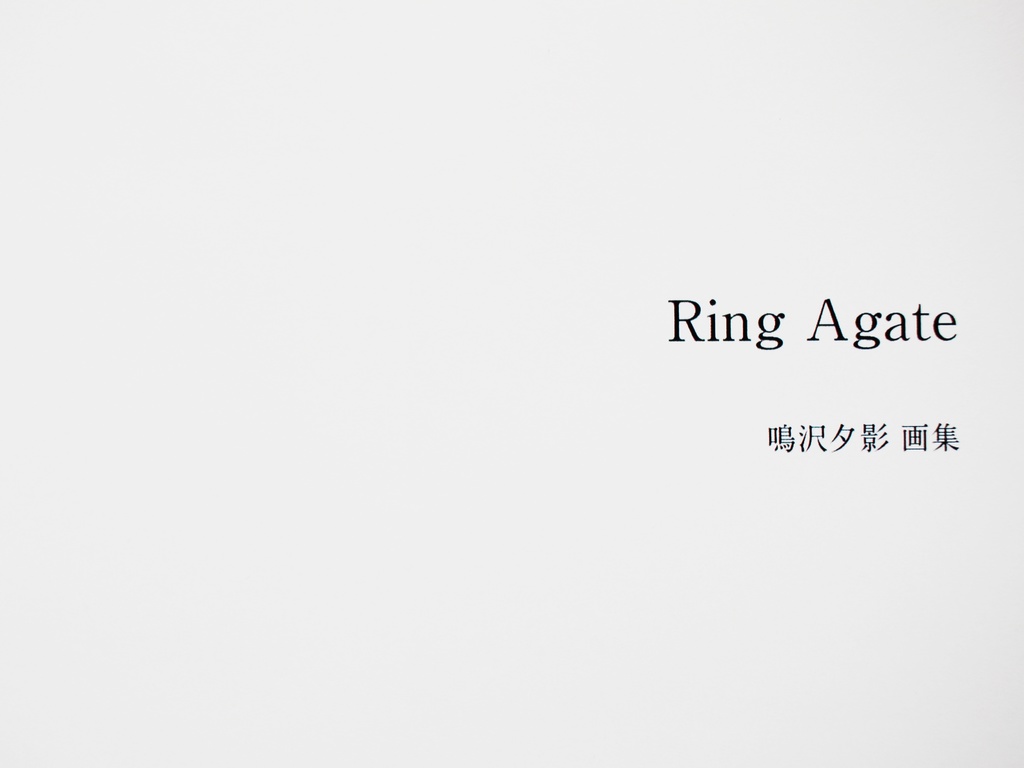 【ネコポス】画集・Ring Agate