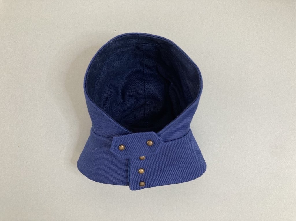 こんのがいとう