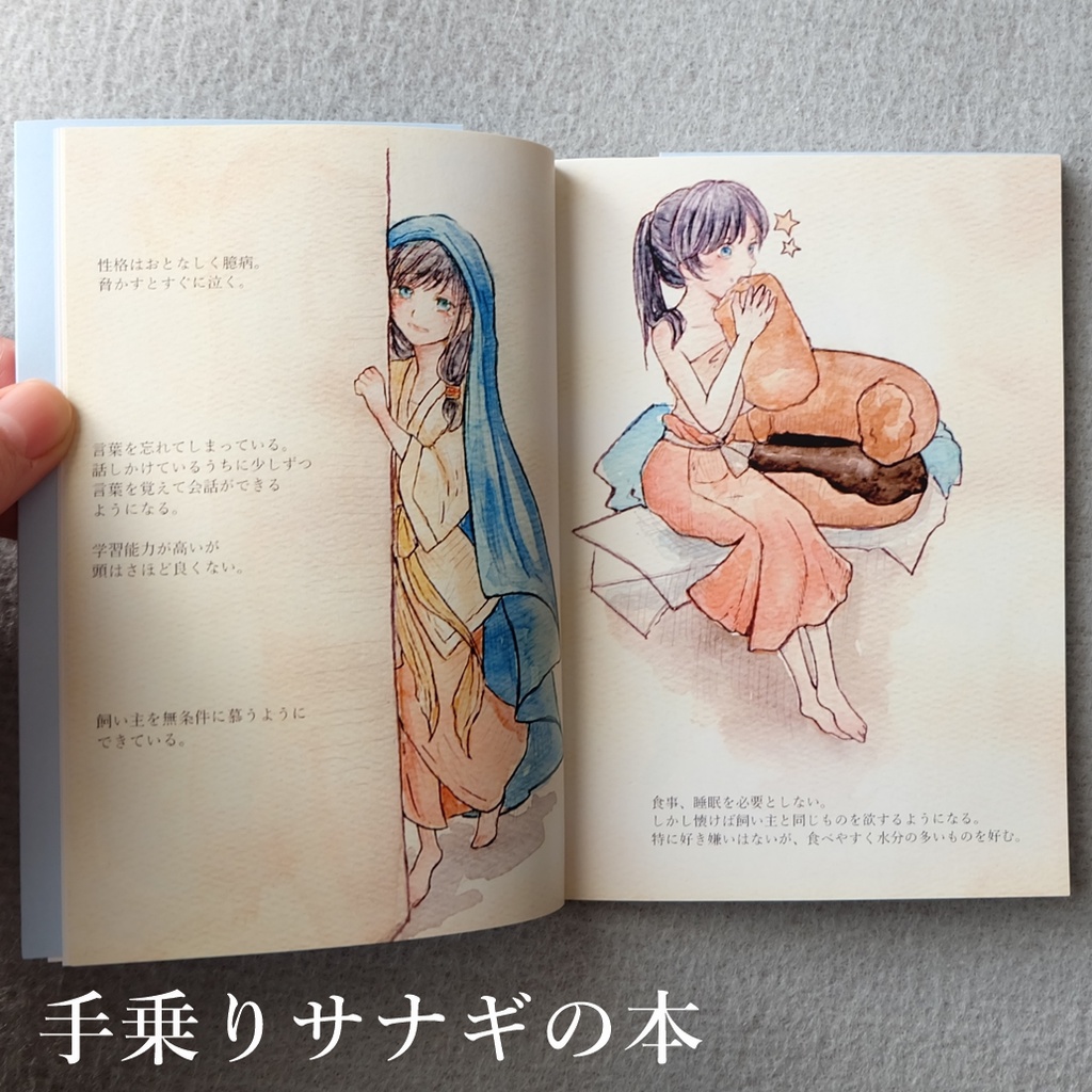 創作イラスト本 2018年制作【Art Book 2018】【手乗りサナギの本】