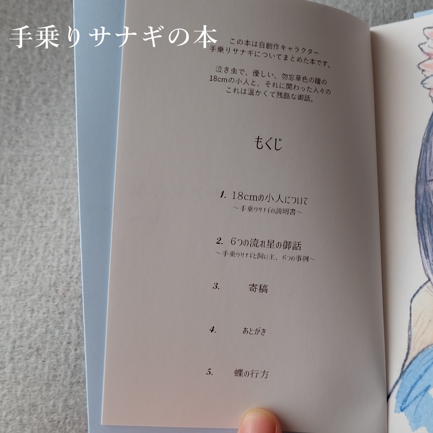 創作イラスト本 2018年制作【Art Book 2018】【手乗りサナギの本】