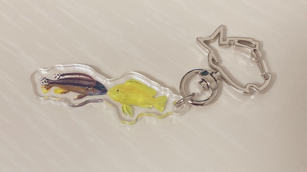 魚　アクキー