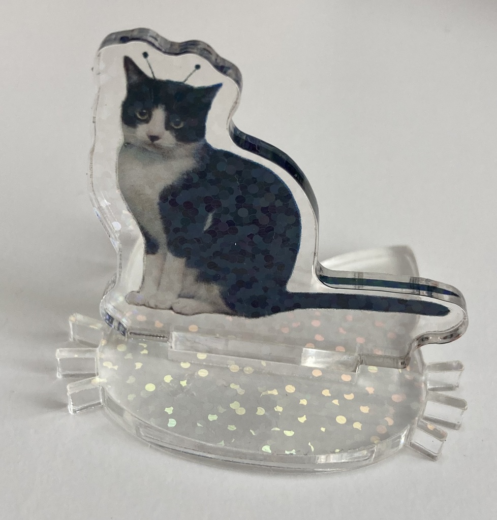 エイリアン実家猫