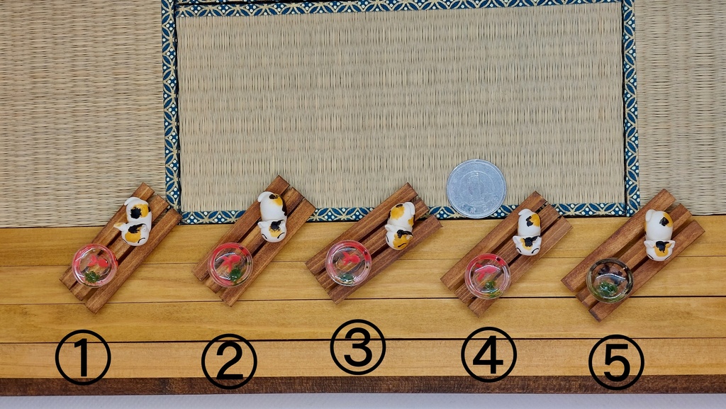 金魚と一緒 (=^・^=)