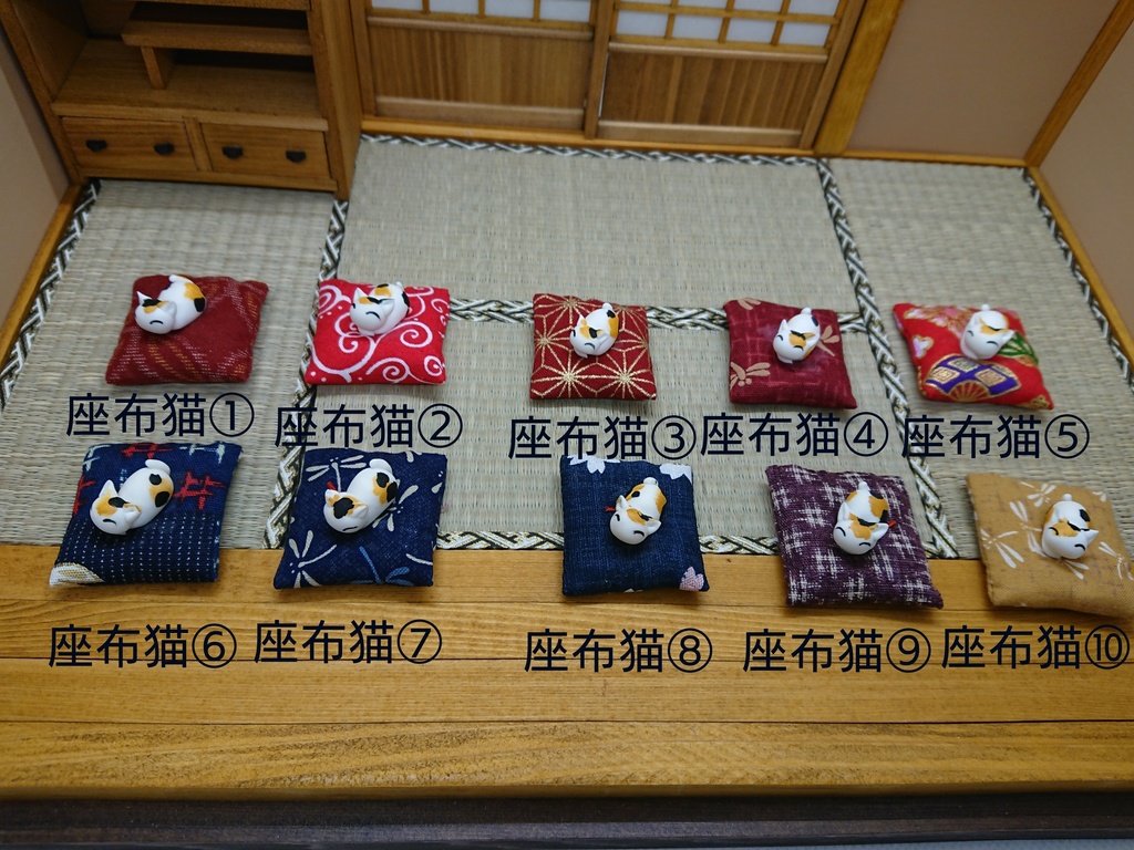 座布猫（一匹）