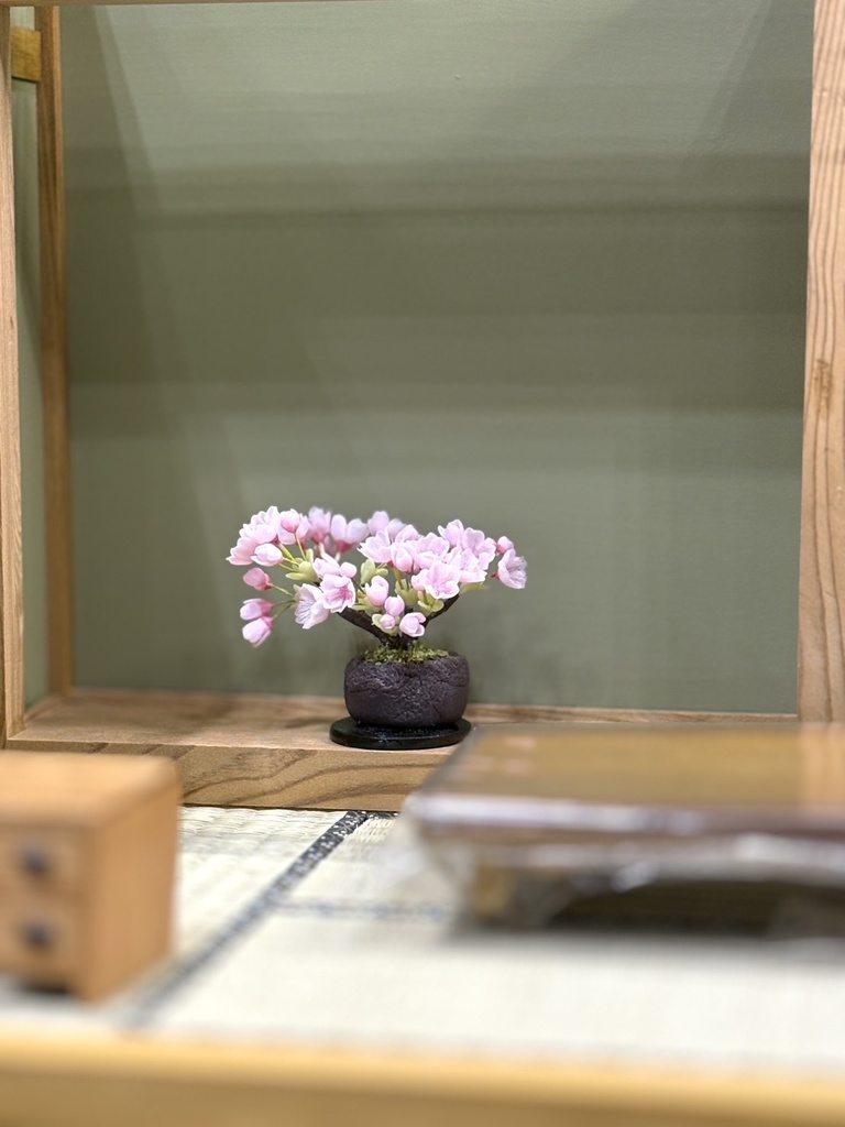 桜🌸盆栽