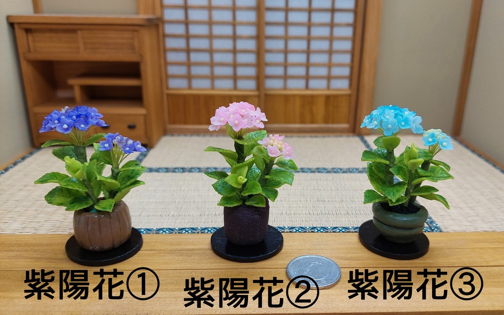 紫陽花鉢植え
