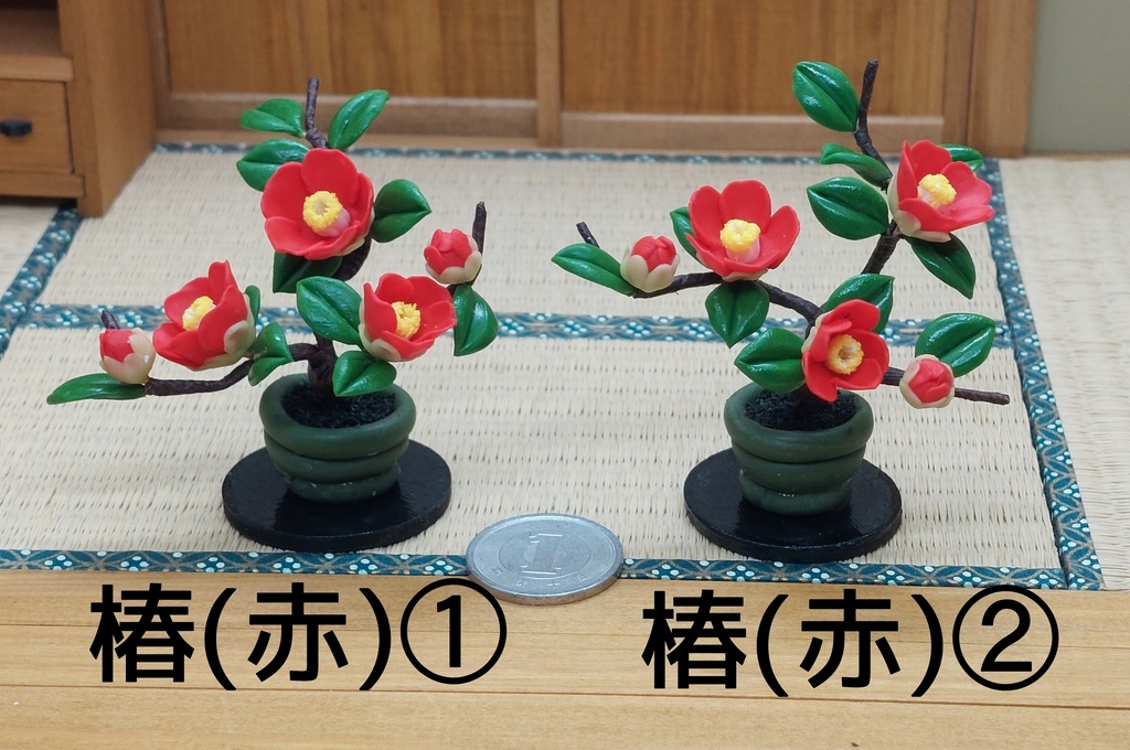 椿　盆栽