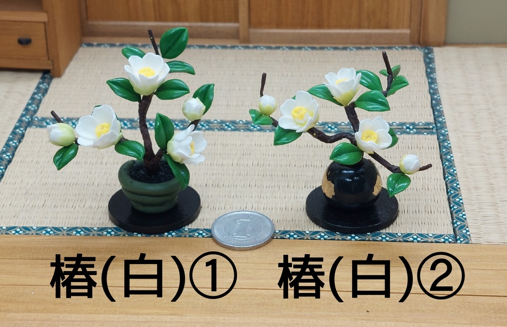 椿 盆栽
