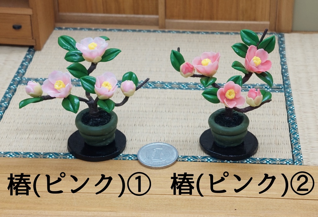 椿 盆栽