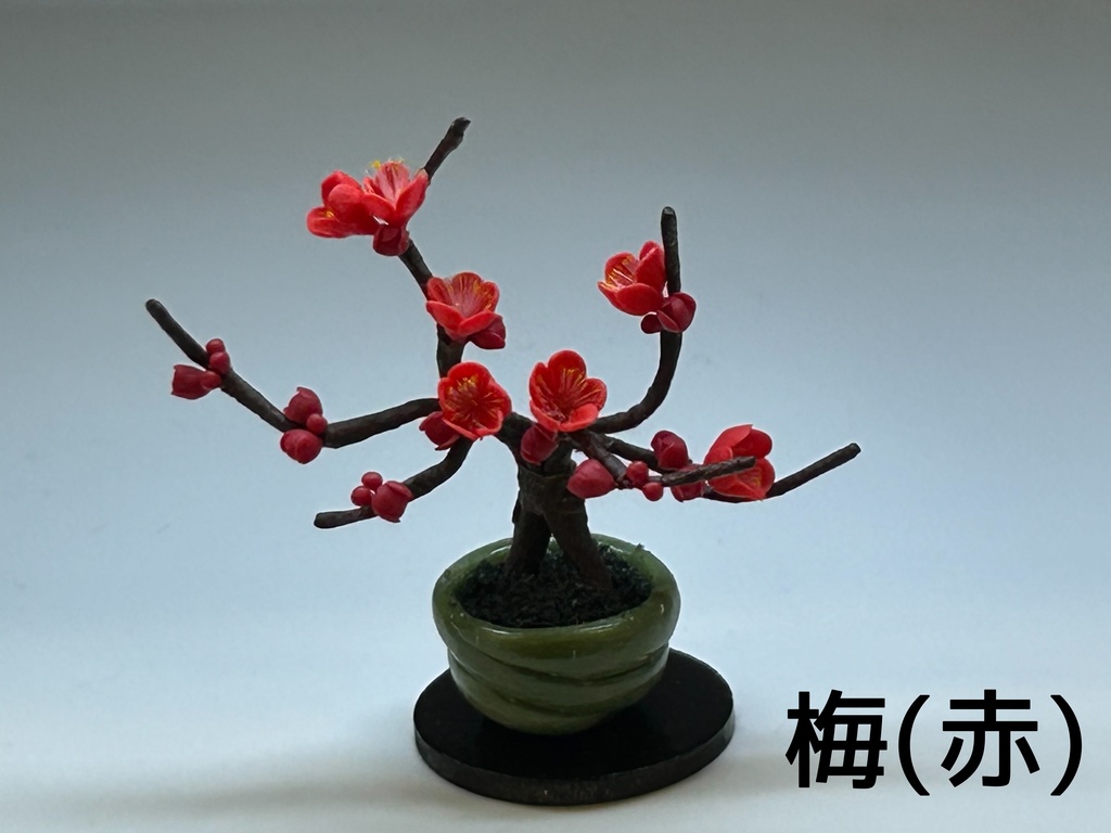 梅盆栽